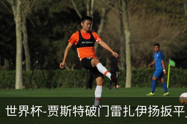 世界杯-贾斯特破门雷扎伊扬扳平 半场伊朗1-1新西兰
