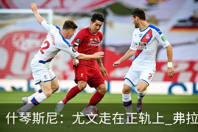 什琴斯尼：尤文走在正轨上 弗拉霍维奇非常出色